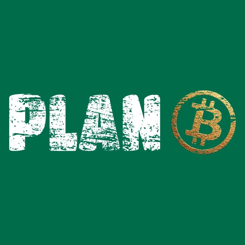 Plan B Bitcoin Krypto Crypto BTC