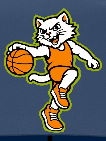 Wildcat-Basketball-Action-Maskottchen