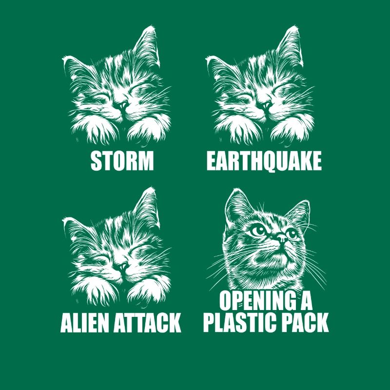 Chat - perception sélective - dire