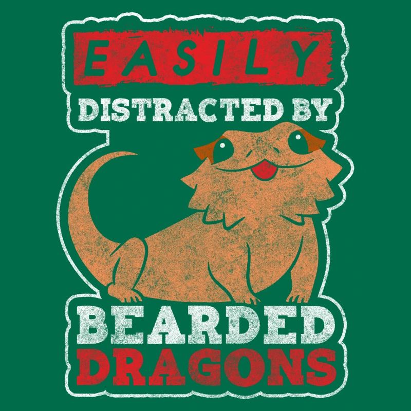 Echse Echsen Eidechse