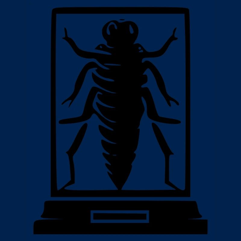 Insecte musée