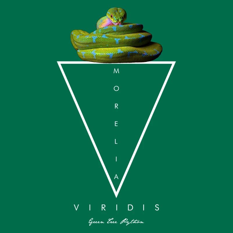 Green Tree Python Modern Geometric