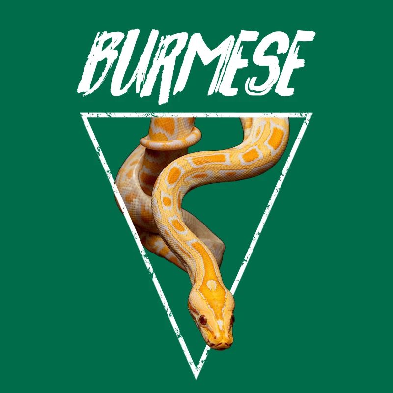 Propriétaire de serpent Python birman