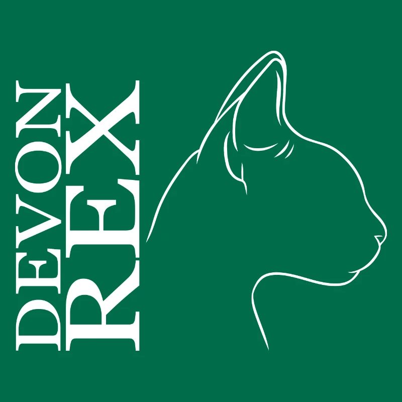 Devon Rex Profil Chat Chat Wilsigns