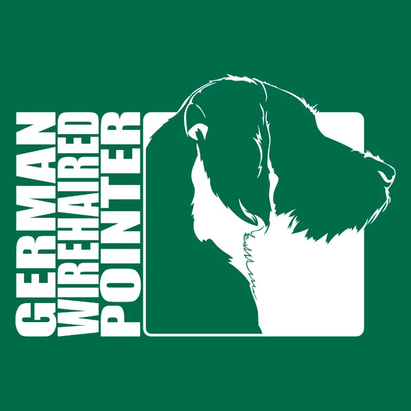 German Wirehaired Pointer Profil Jagdhund Wilsigns