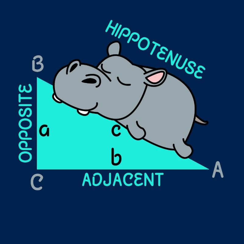Hippoténuse math maths professeur de mathématiques blague