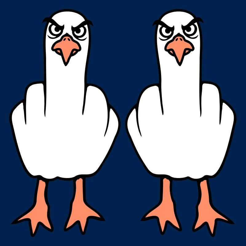 2 Seagulls Doigt d’honneur Insulte Stinkfinger Équipe