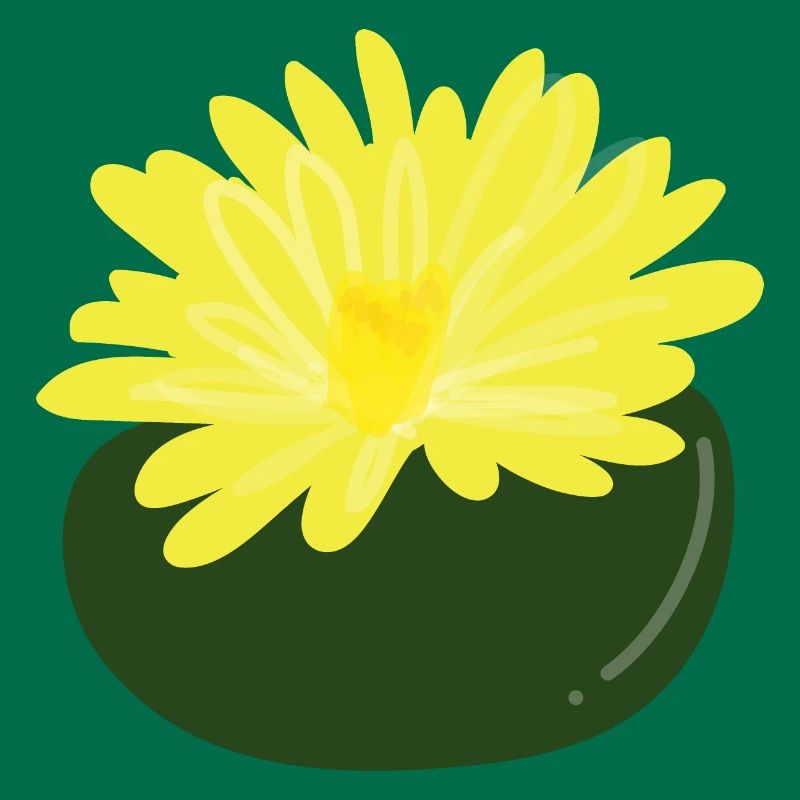 Fleur de Lithops1