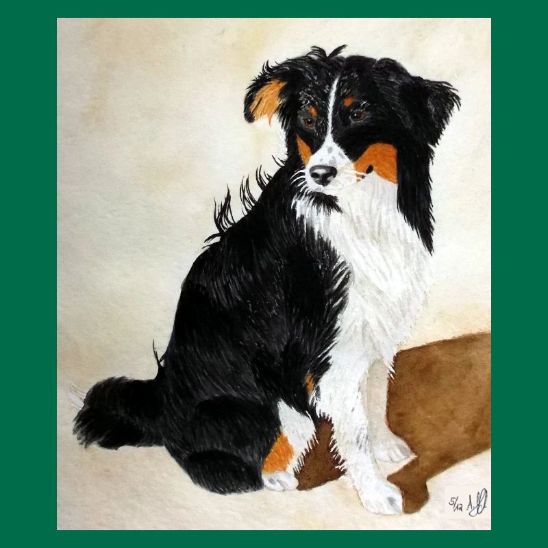 Sitzender Aussie Nanouk