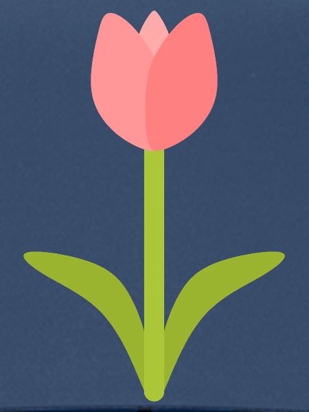 Tulpen-Silhouette in Blüte