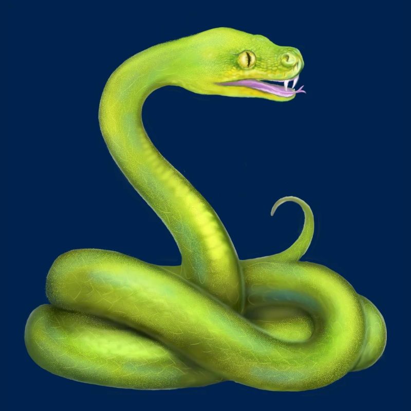 Der Grüne Python Schlange Dschungel Tier