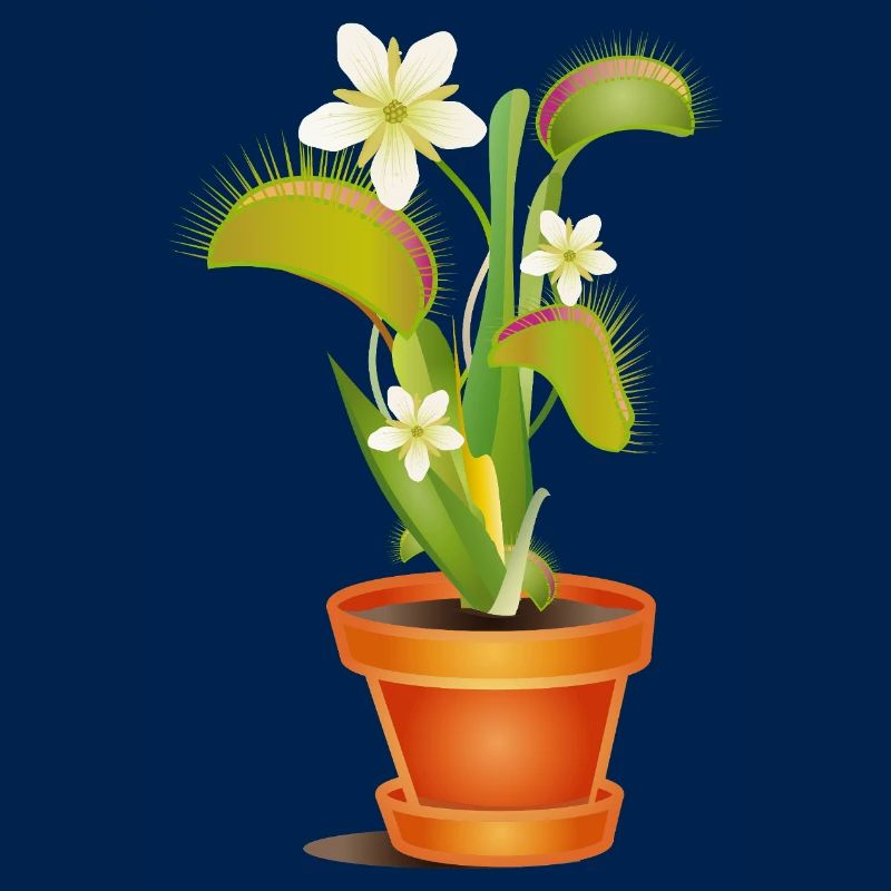 Venus flytrap in pot – colorful illustration