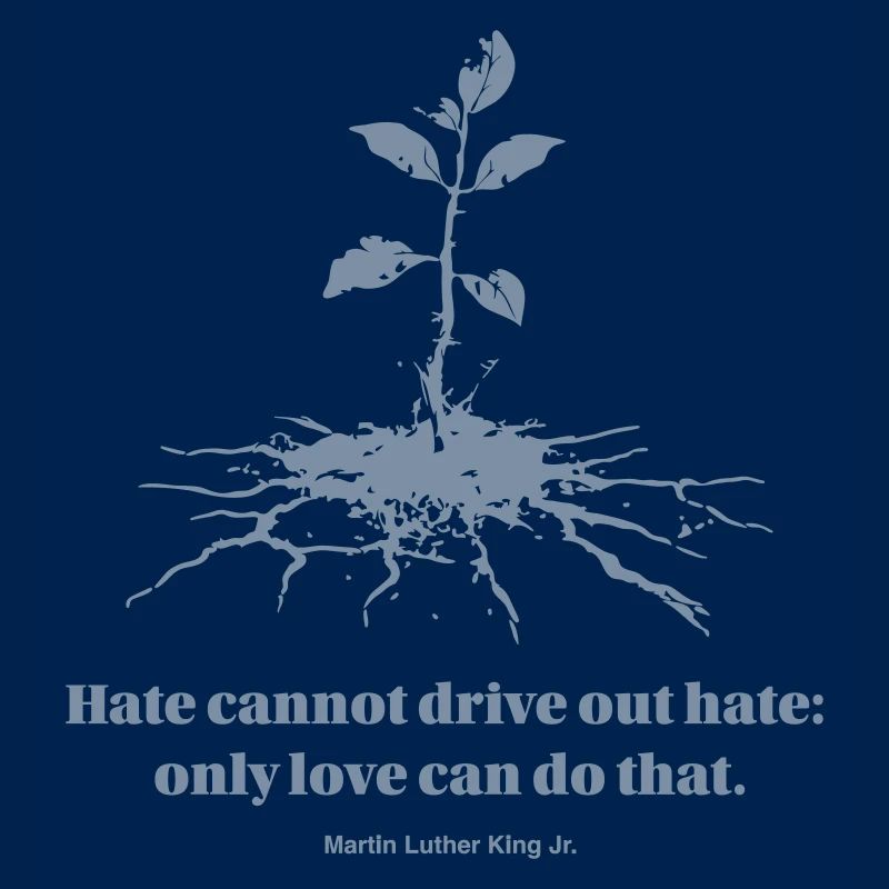 Hate cannot drive out hate: only love can do that