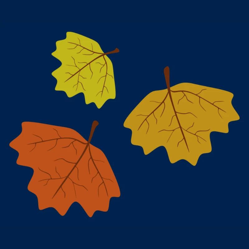 feuilles d’automne