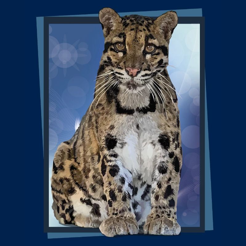 Panthère nébuleuse