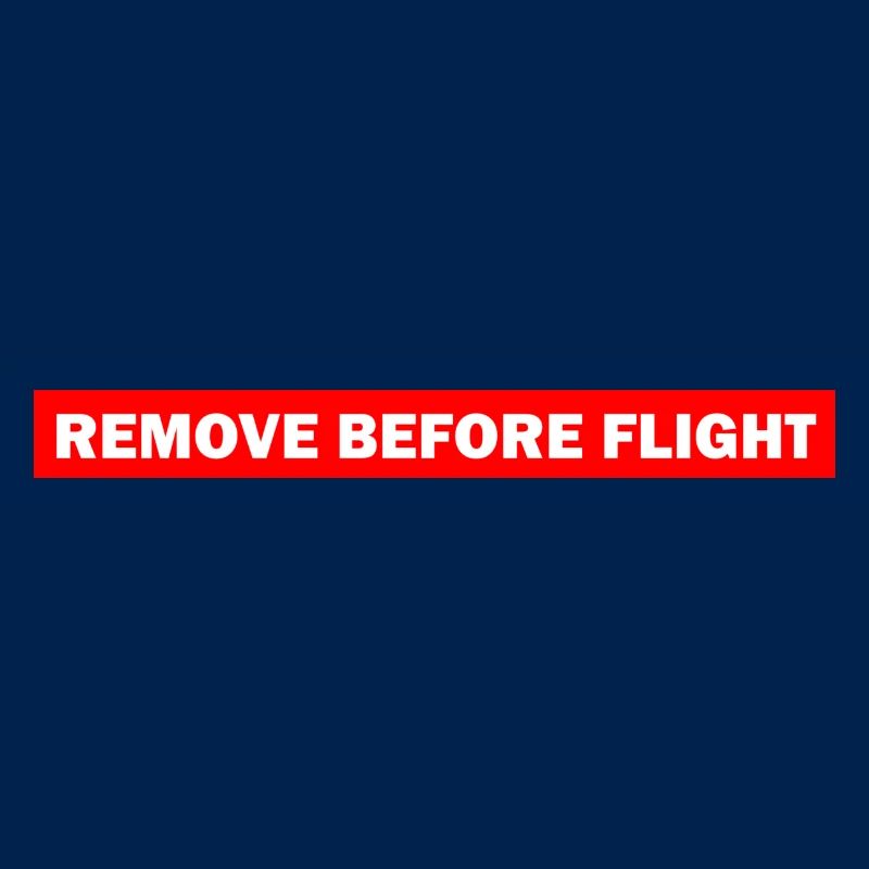 REMOVE BEFORE FLIGHT