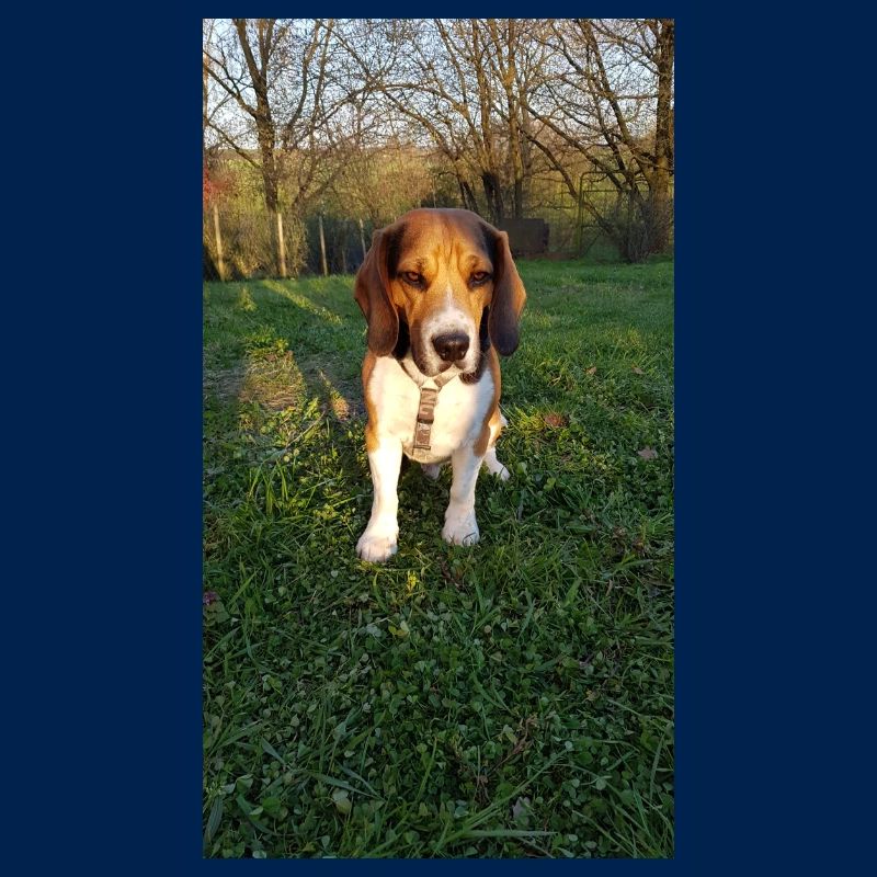 BD2D42FA 2360 40FD B0CB 5113CCC2E731