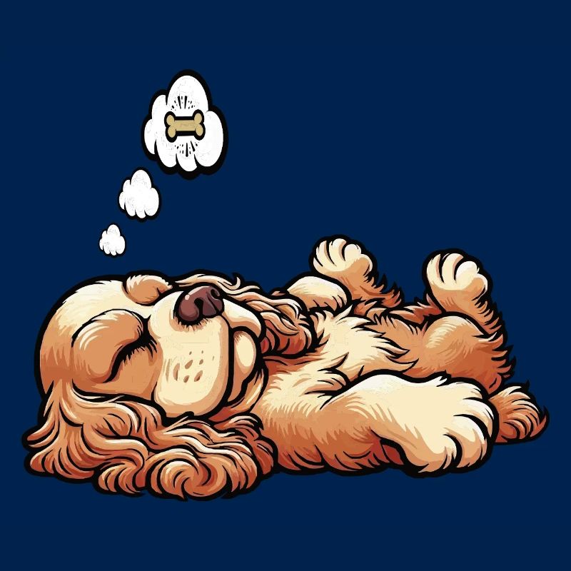 Cocker Spaniel Cockerhund Cocker Spaniel Besitzer