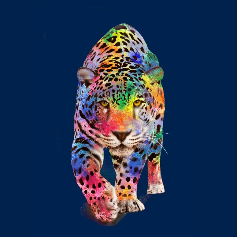 Multicolour leopard