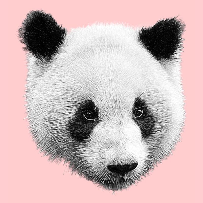 Panda Black White
