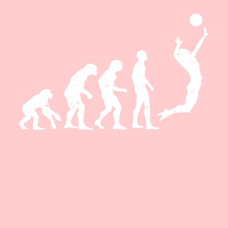 VOLLEYBALL EVOLUTION!