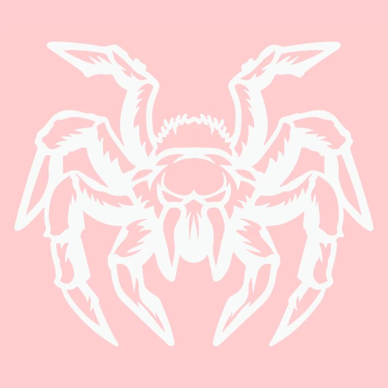 spinne