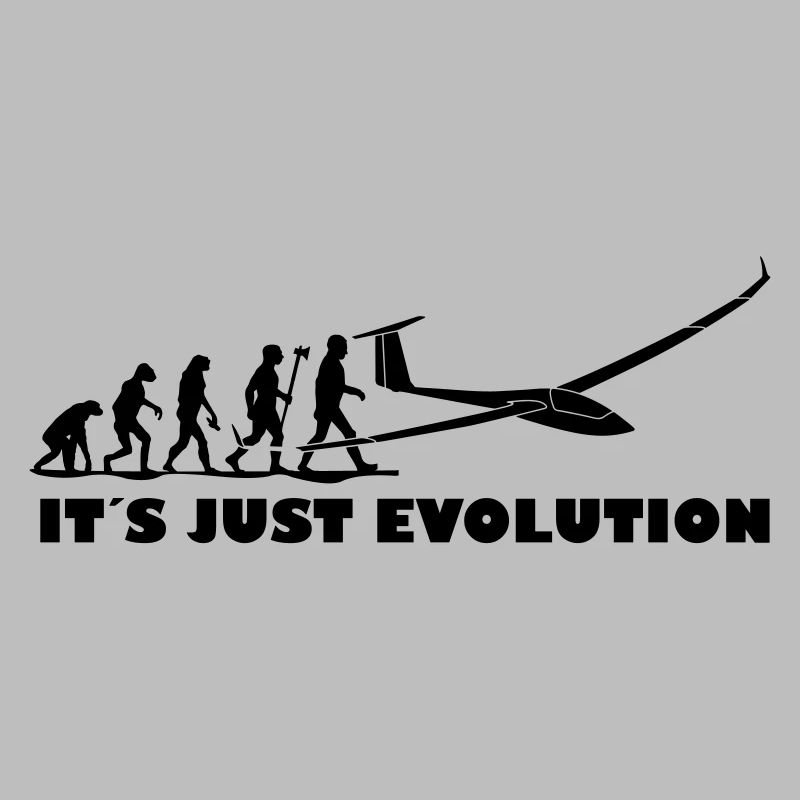 evolution segelfliegen