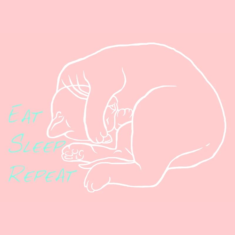 Manger dormir répéter