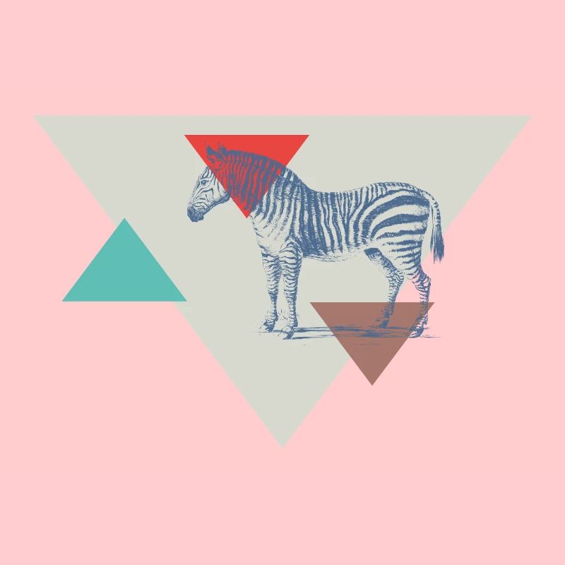 Zebra triangle design