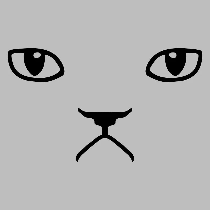 chat pas content grumpy kitty cat