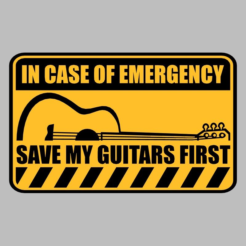 Save My Guitars First