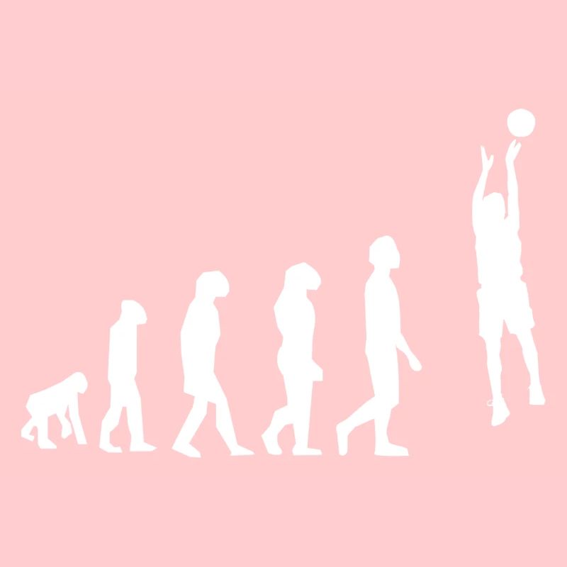 Basket évolution