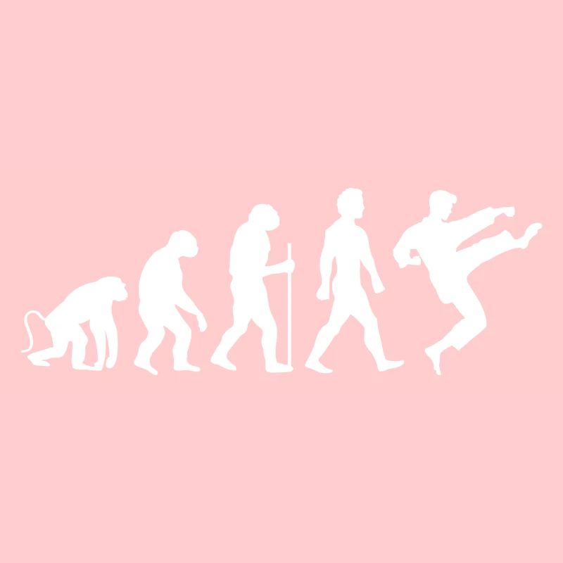 Karaté Évolution