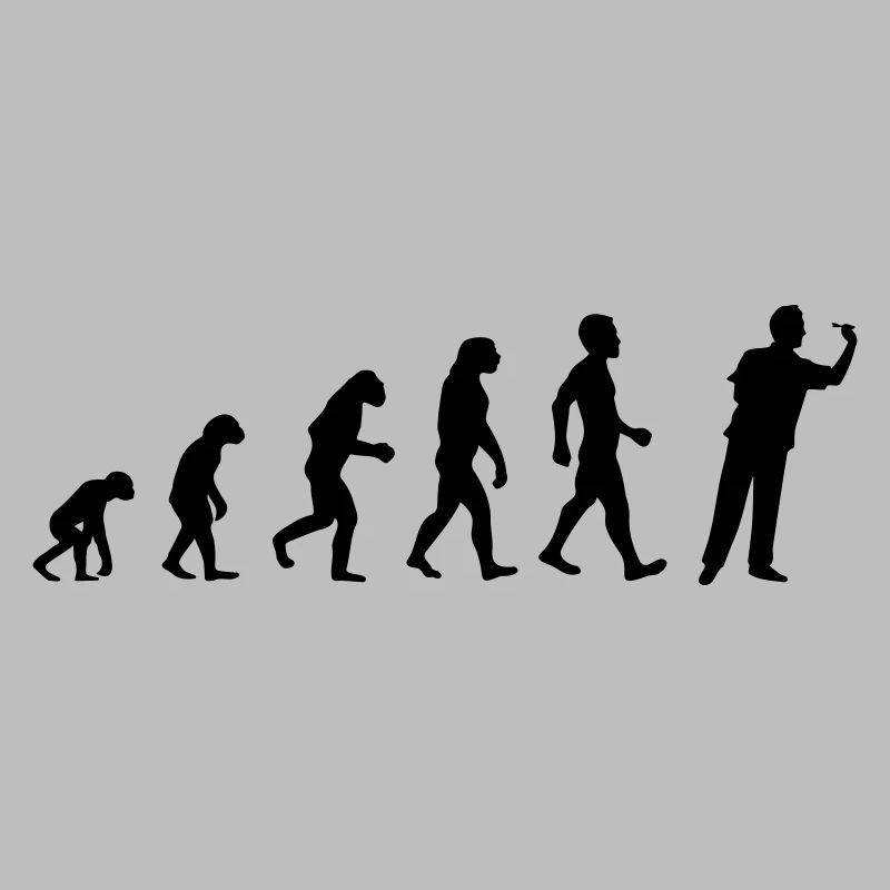 Evolution Darts
