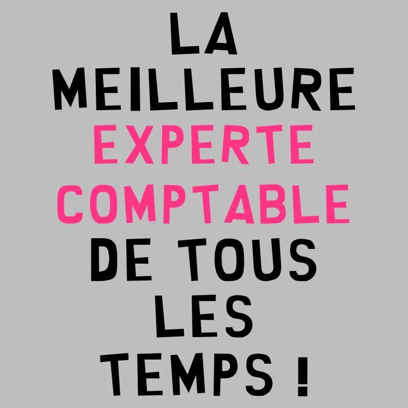 Expert Comptable / Comptabilité / Comptable /