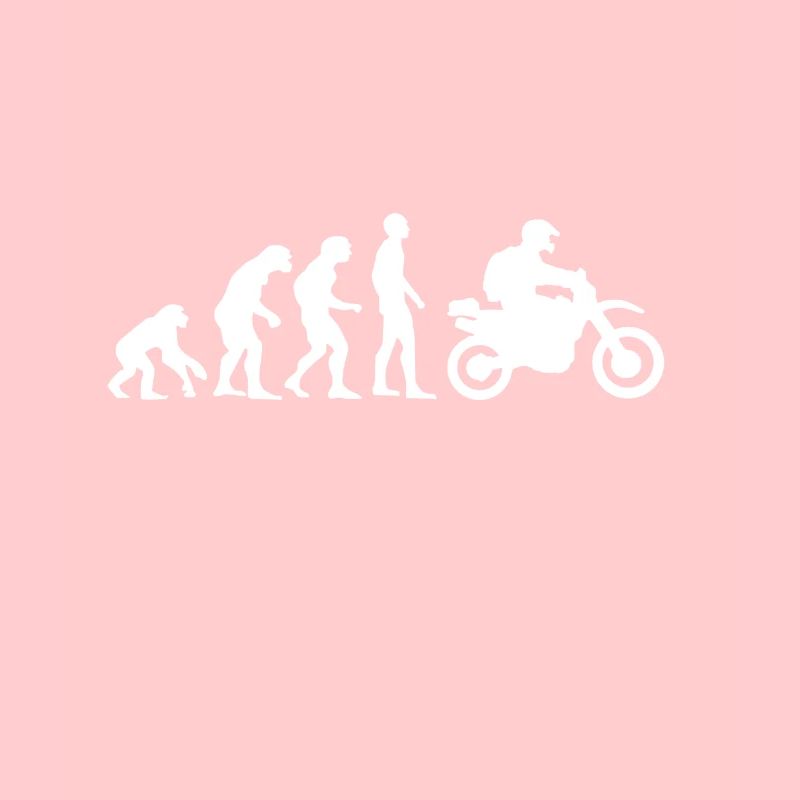 Evolution! Motorcycle Gift Idea Bikes