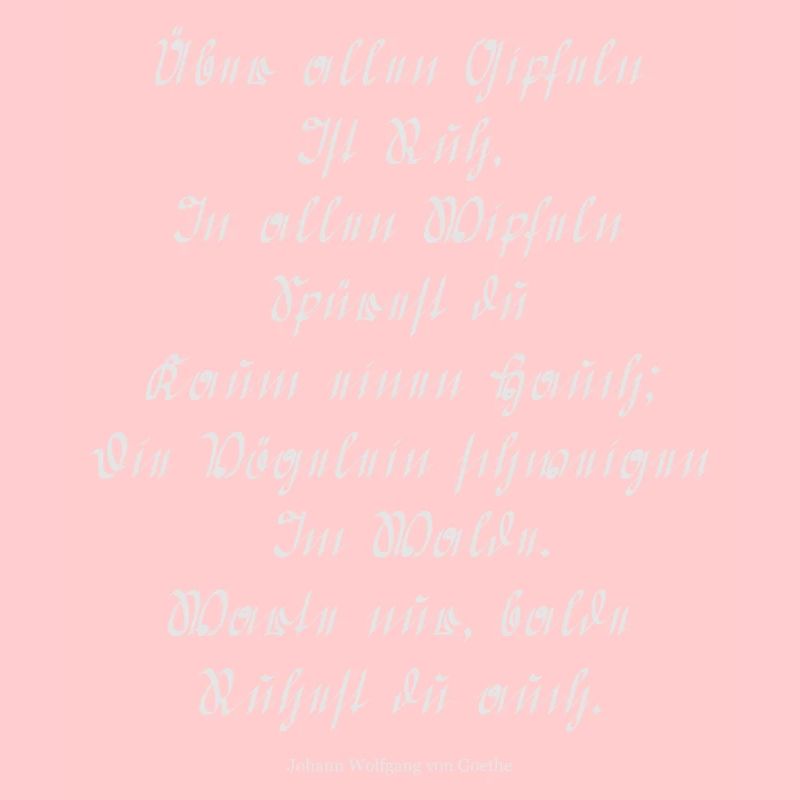 Wanderers night song