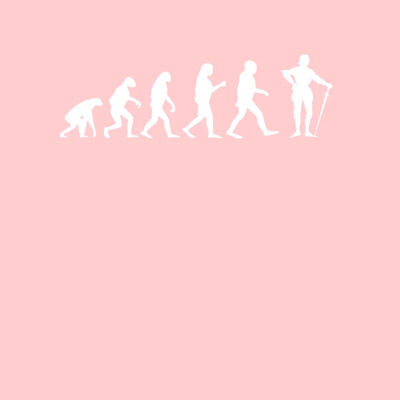 Évolution du chevalier médiéval