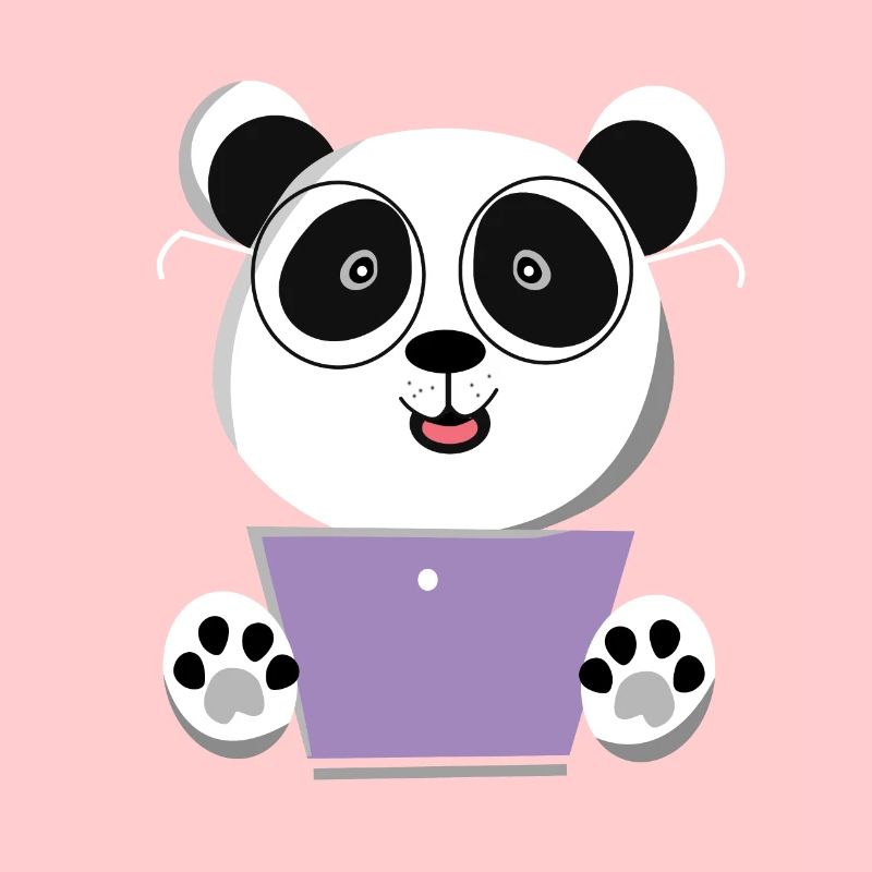 Panda Computer