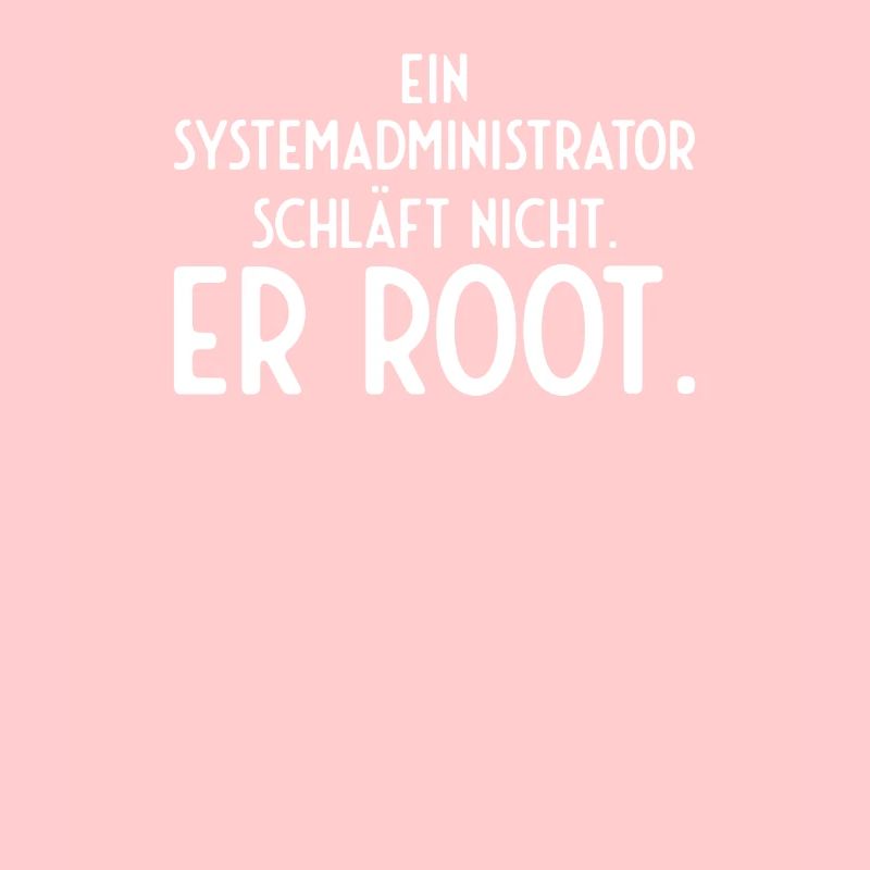 Informatiker Admin EDV