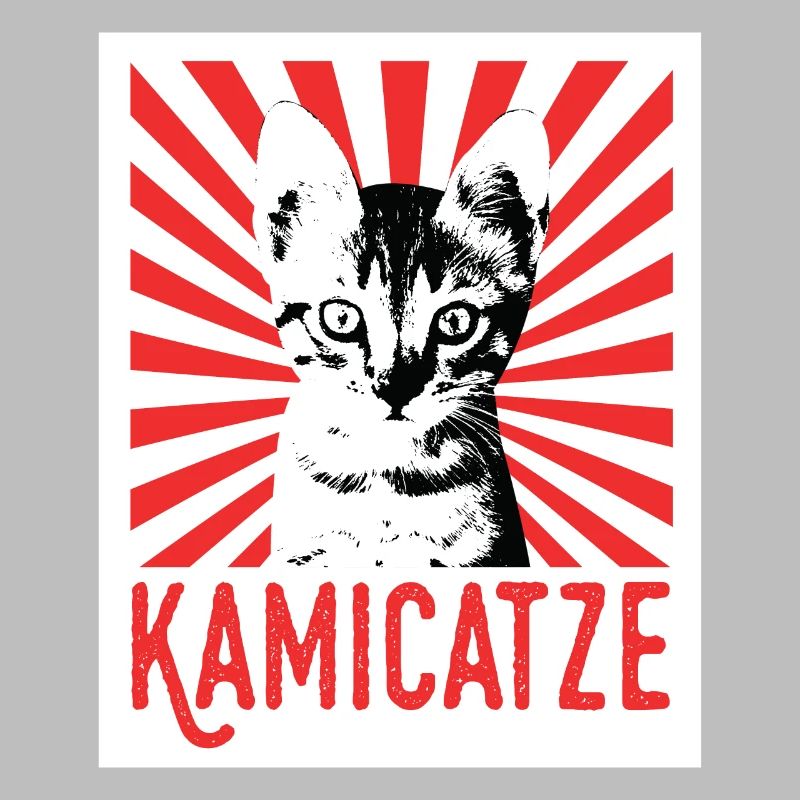 Kamicatze süße Katze cat grumpy cat katzen Katzen