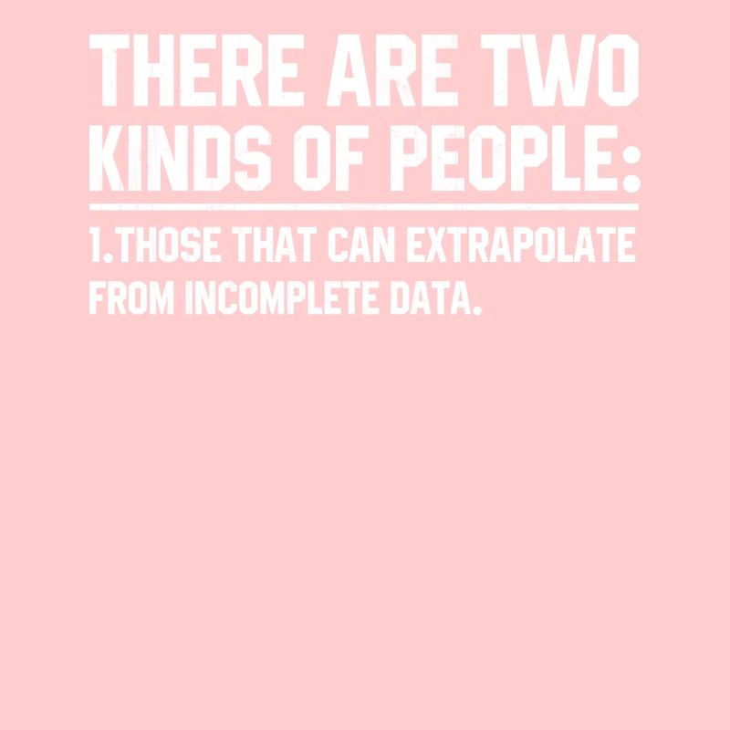 Software developer programmer