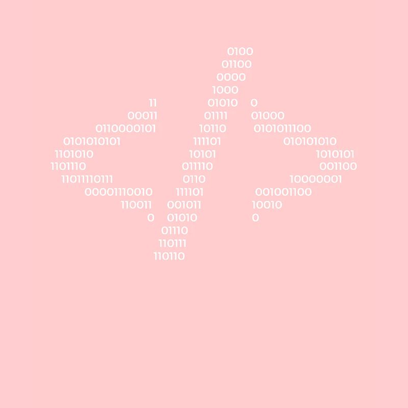 Hacker Code Informatique Java Rengaine Cadeau