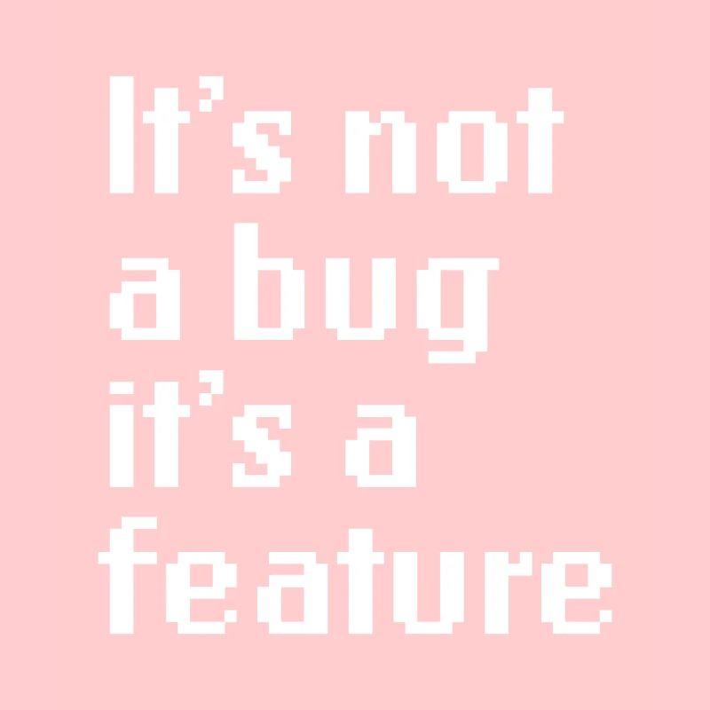 It’s Not A Bug It’s A Feature Web App Developer