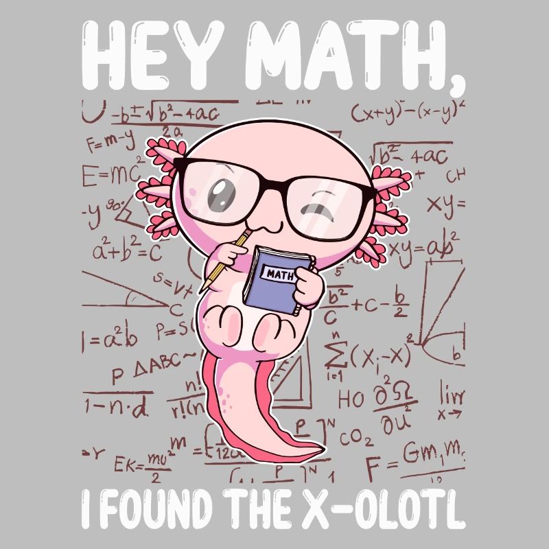 Funny Math Axolotl Math Gift