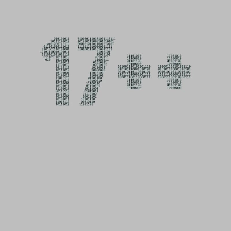 17++ Programmierer Developer Coder 18. Geburtstag