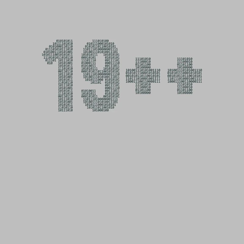 19++ Software Developer Full Stack Coder 20th