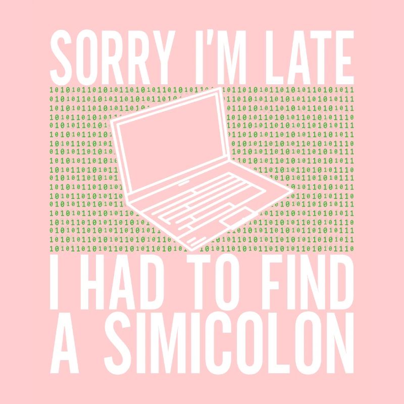 Programmierer Informatiker