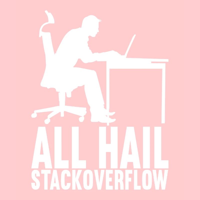 Programmierer Informatiker