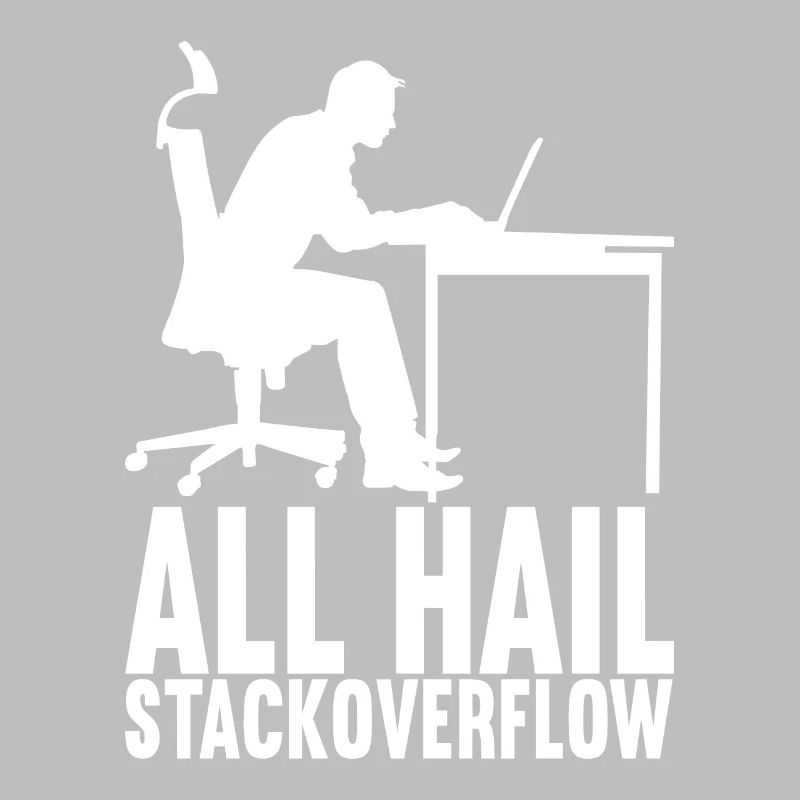 Programmierer Informatiker